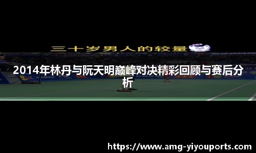 2014年林丹与阮天明巅峰对决精彩回顾与赛后分析