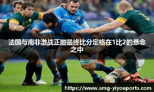 YY体育